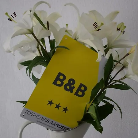 My B&B 브뤼헤