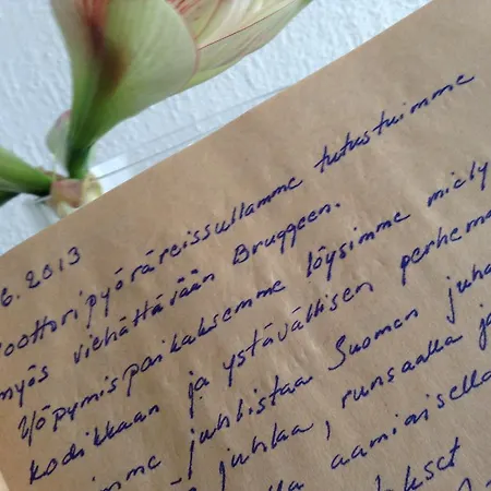 My ברוז'